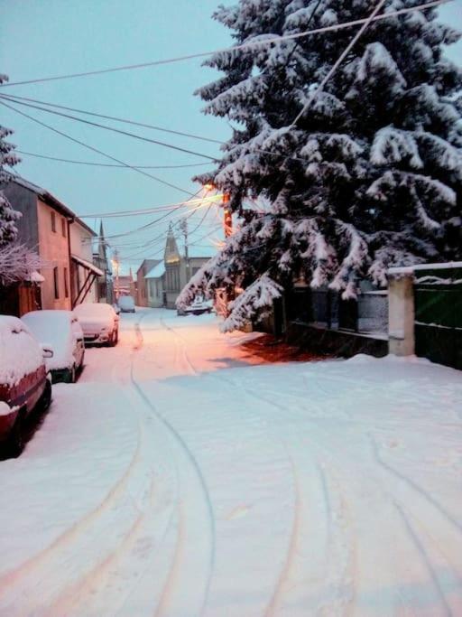 Beograd - Apartman "Gardos" エクステリア 写真