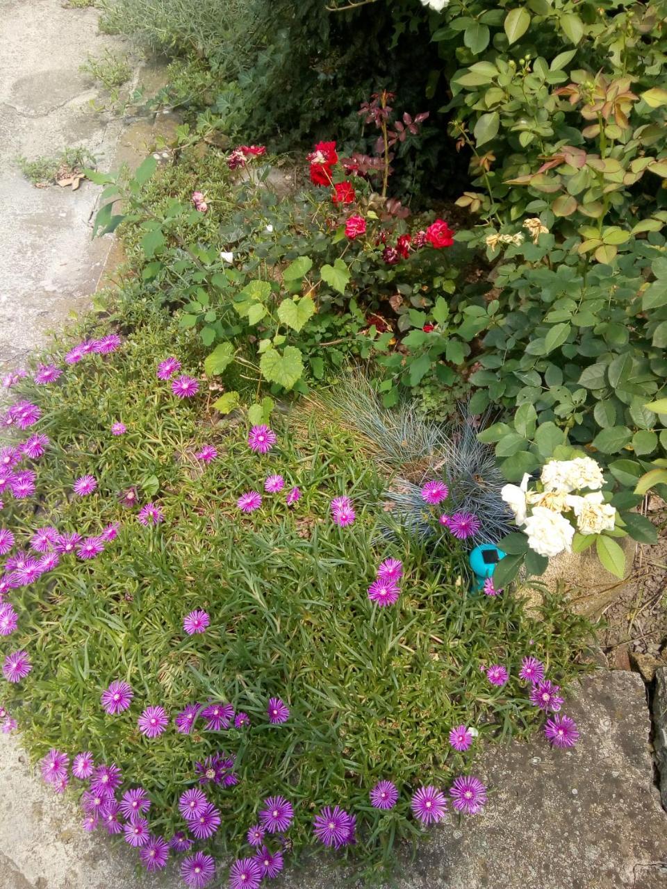 Beograd - Apartman "Gardos" エクステリア 写真