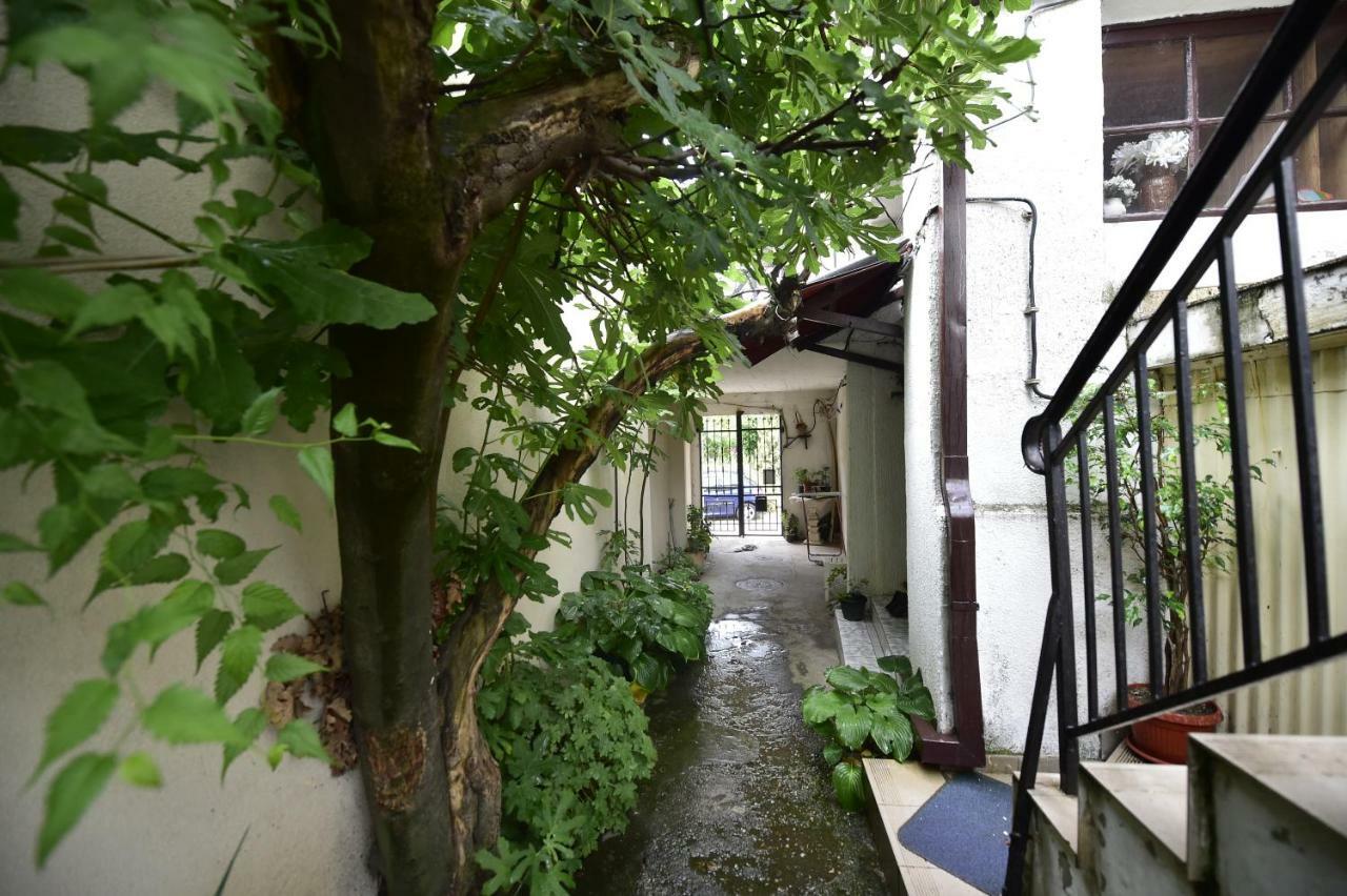 Beograd - Apartman "Gardos" エクステリア 写真